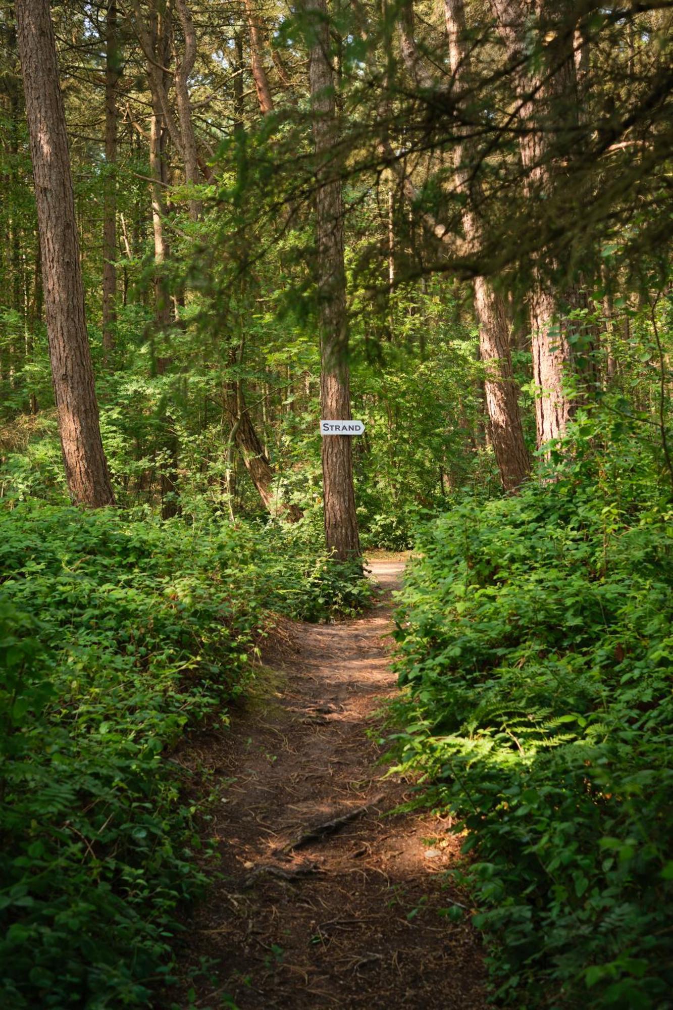 Aalernhues Hotel & Spa Санкт-Петер-Ординг Экстерьер фото The trail at the end of the road